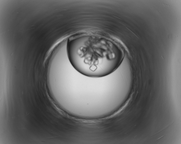 X0000085281114200703090930