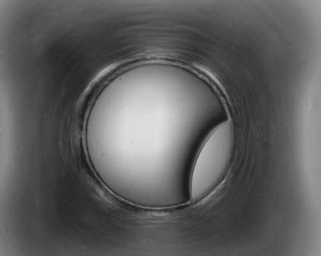X0000085281115200703090930