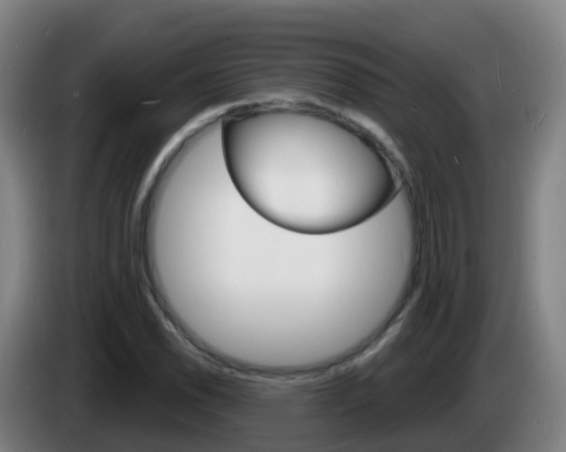 X0000085281118200703090930