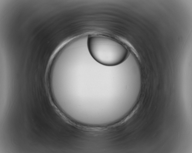 X0000085281122200703090930