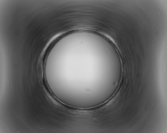 X0000085281123200703090931
