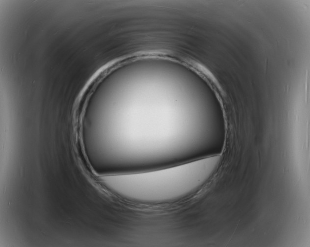 X0000085281124200703090931