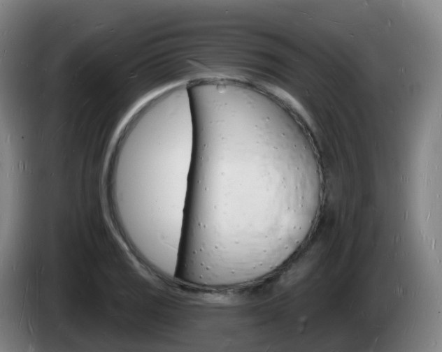 X0000085281125200703090931