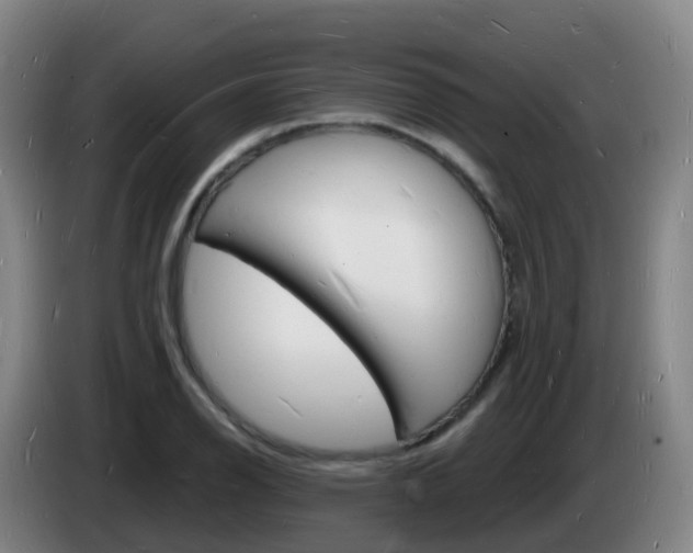X0000085281126200703090931