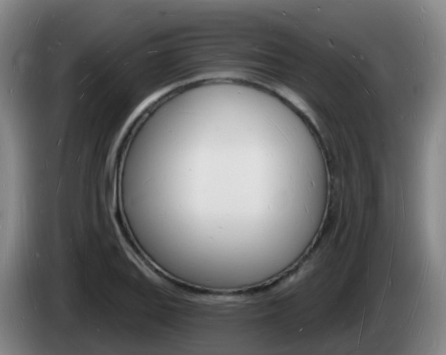 X0000085281127200703090931