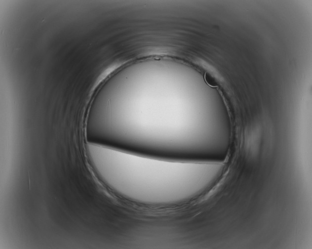 X0000085281129200703090931