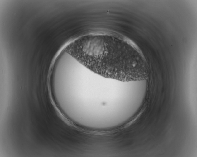X0000085281130200703090931