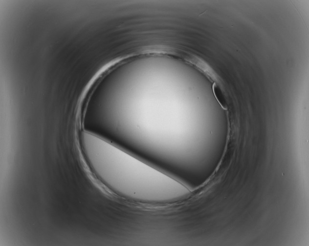 X0000085281132200703090931