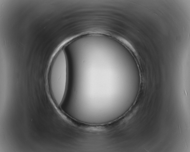 X0000085281133200703090931