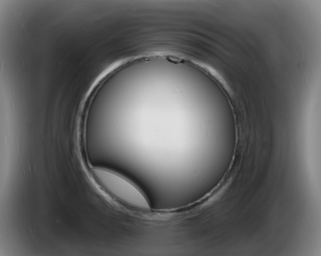 X0000085281134200703090931