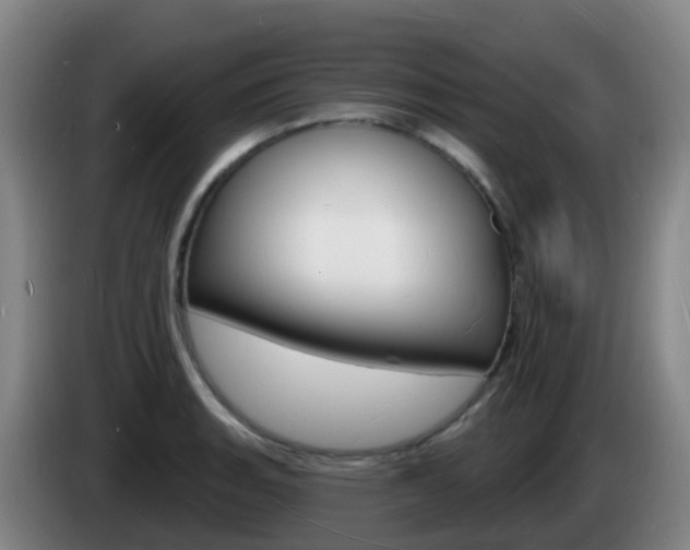 X0000085281135200703090931