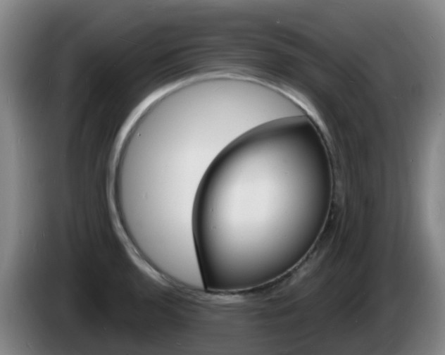 X0000085281136200703090931