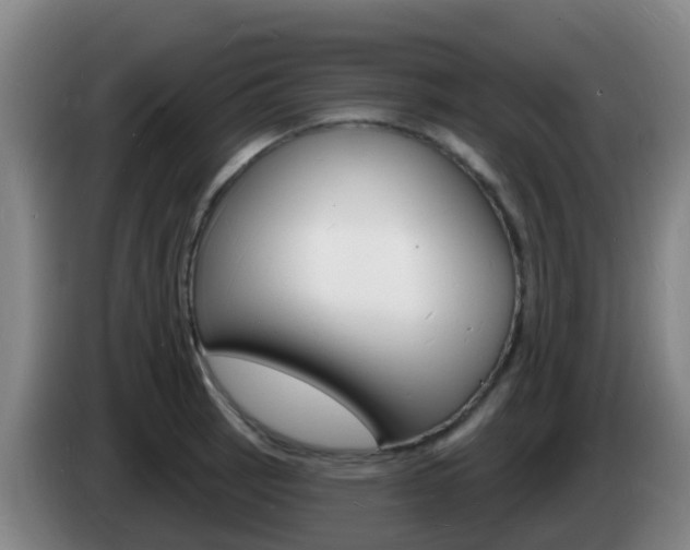 X0000085281137200703090931