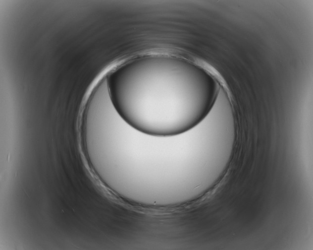 X0000085281138200703090931