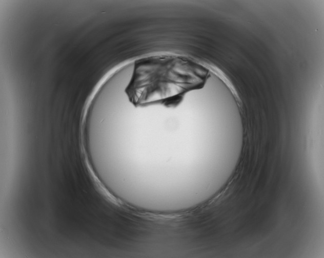 X0000085281140200703090931