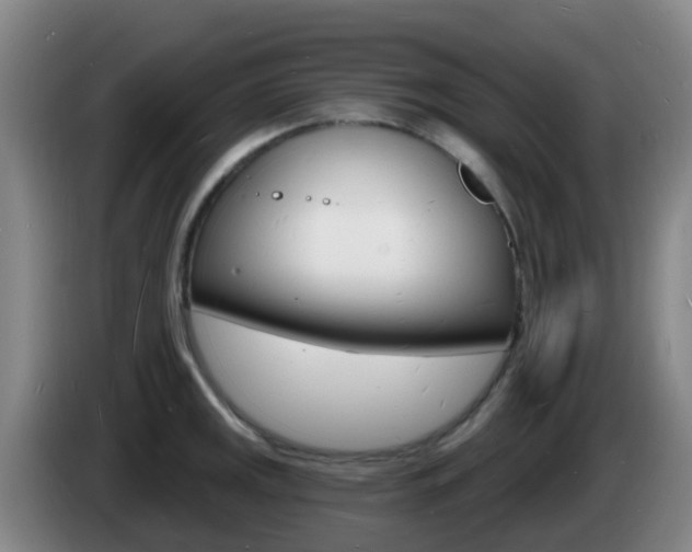 X0000085281141200703090931