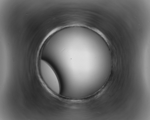 X0000085281142200703090931