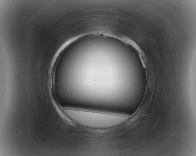X0000085281144200703090931