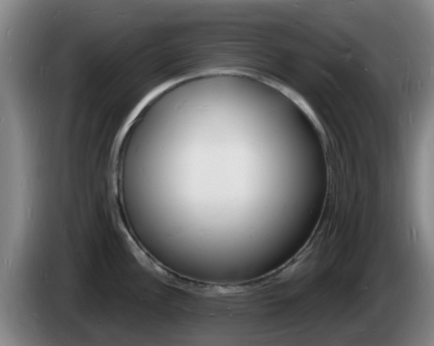 X0000085281148200703090931