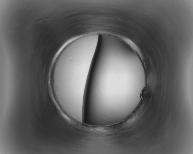 X0000085281149200703090931