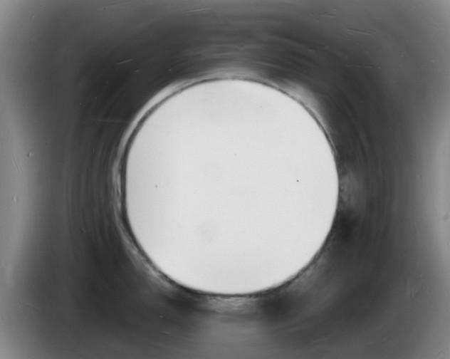 X0000085281150200703090931