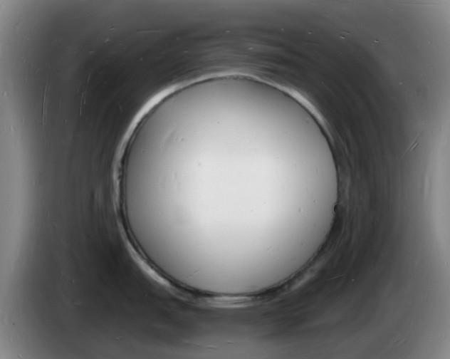 X0000085281151200703090931
