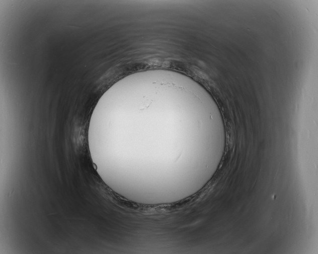 X0000085281154200703090930