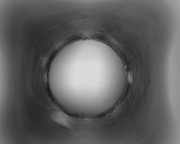X0000085281155200703090930