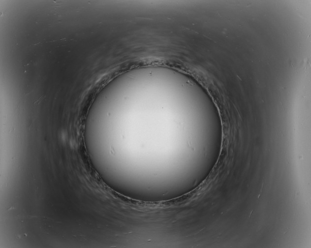 X0000085281157200703090930