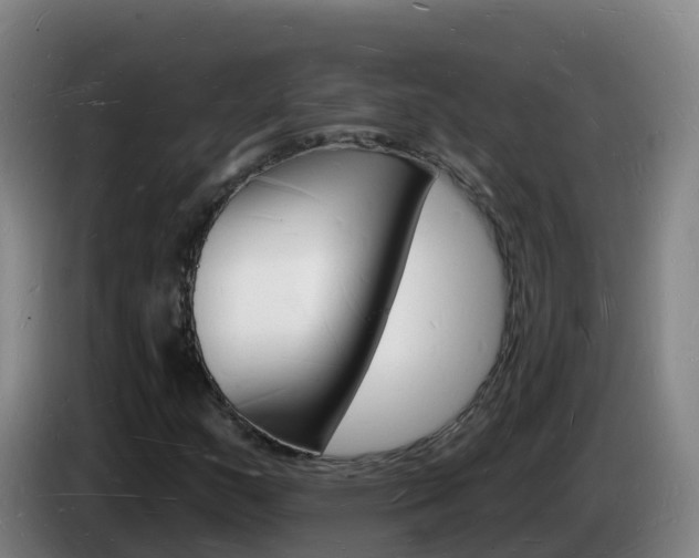 X0000085281159200703090930