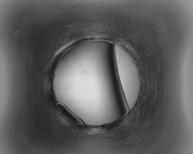 X0000085281160200703090930