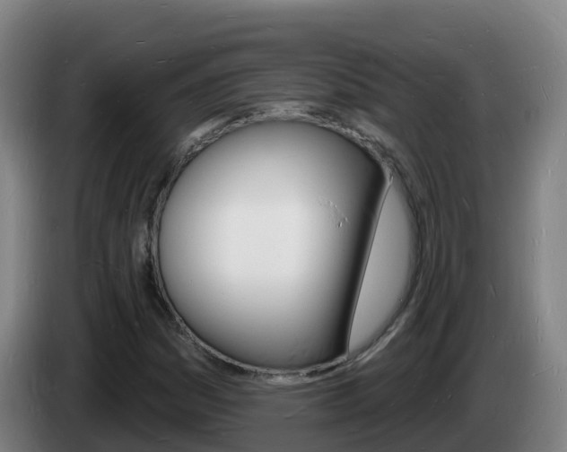 X0000085281161200703090930