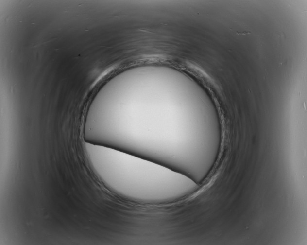 X0000085281162200703090930