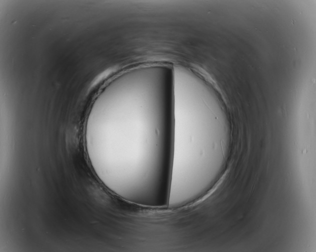 X0000085281163200703090930