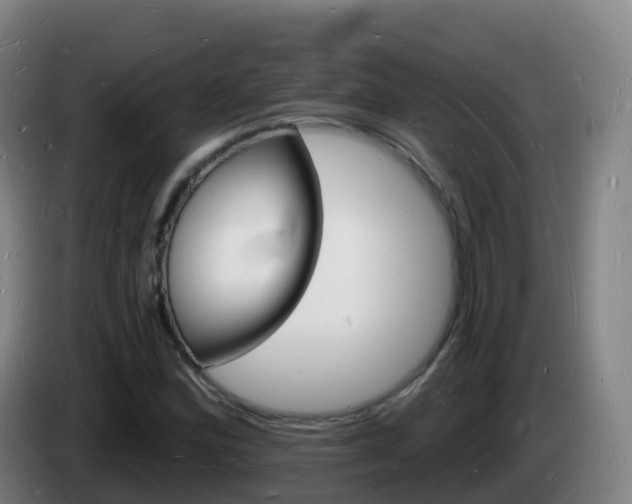 X0000085281164200703090930