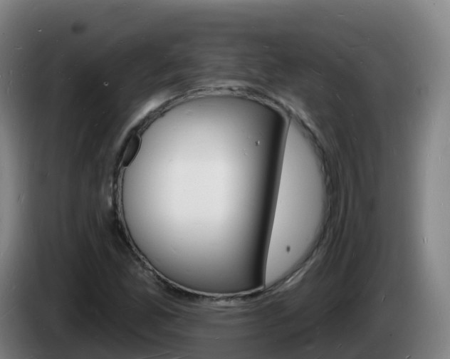 X0000085281165200703090930