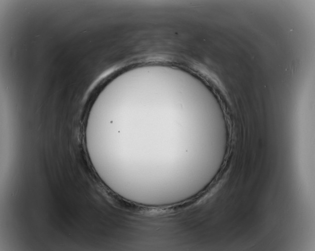 X0000085281166200703090930