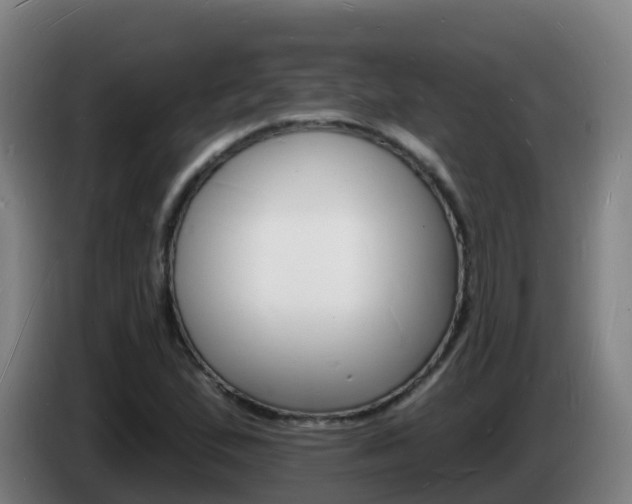 X0000085281167200703090930