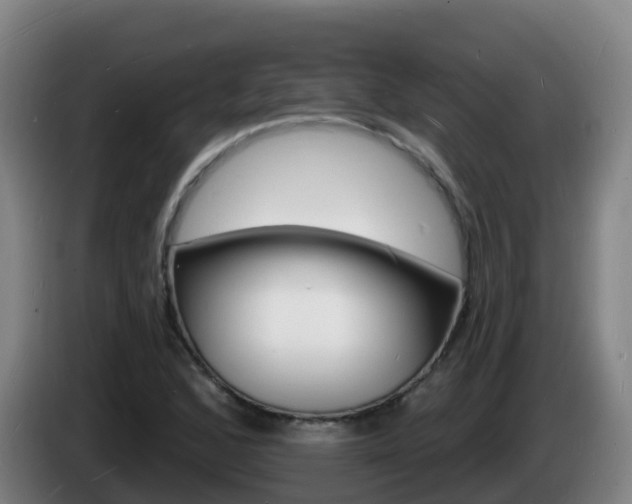 X0000085281168200703090930