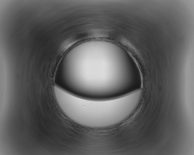 X0000085281169200703090930
