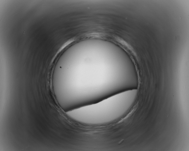 X0000085281170200703090930