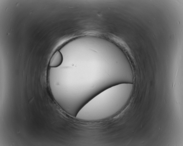 X0000085281174200703090930