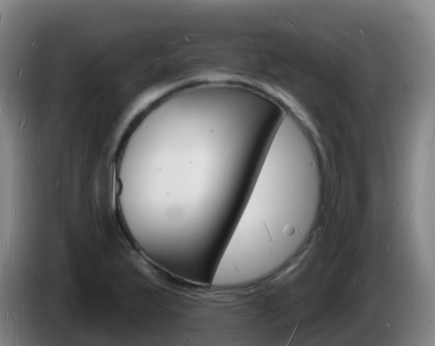 X0000085281175200703090930