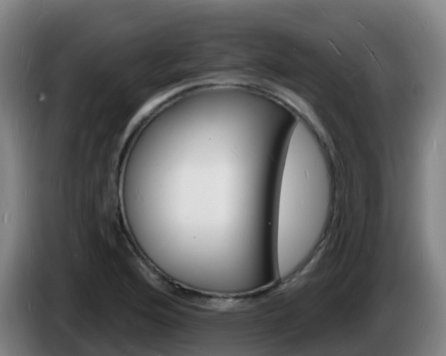 X0000085281176200703090930