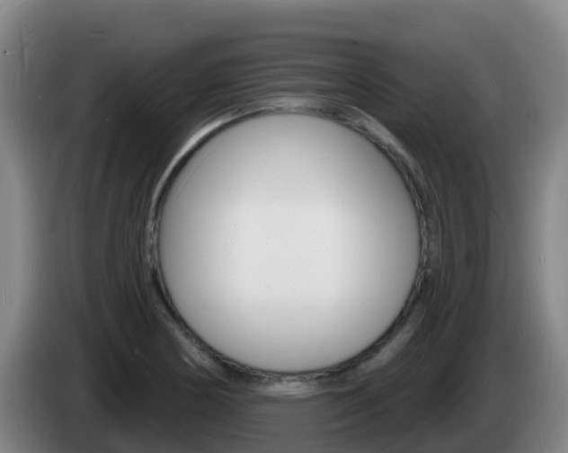 X0000085281178200703090930