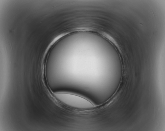 X0000085281179200703090930