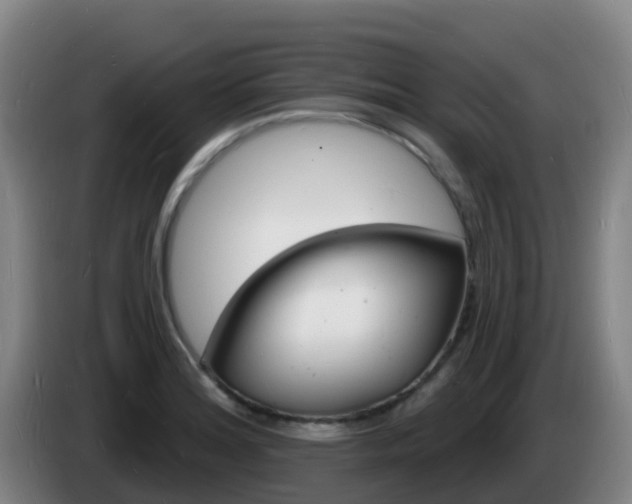 X0000085281180200703090930