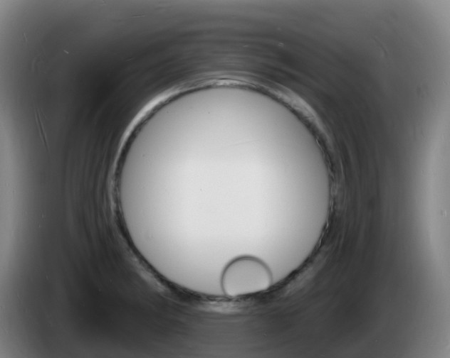X0000085281182200703090930