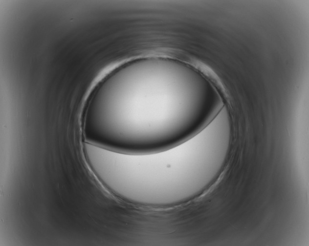 X0000085281184200703090930