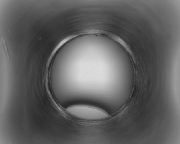 X0000085281187200703090930